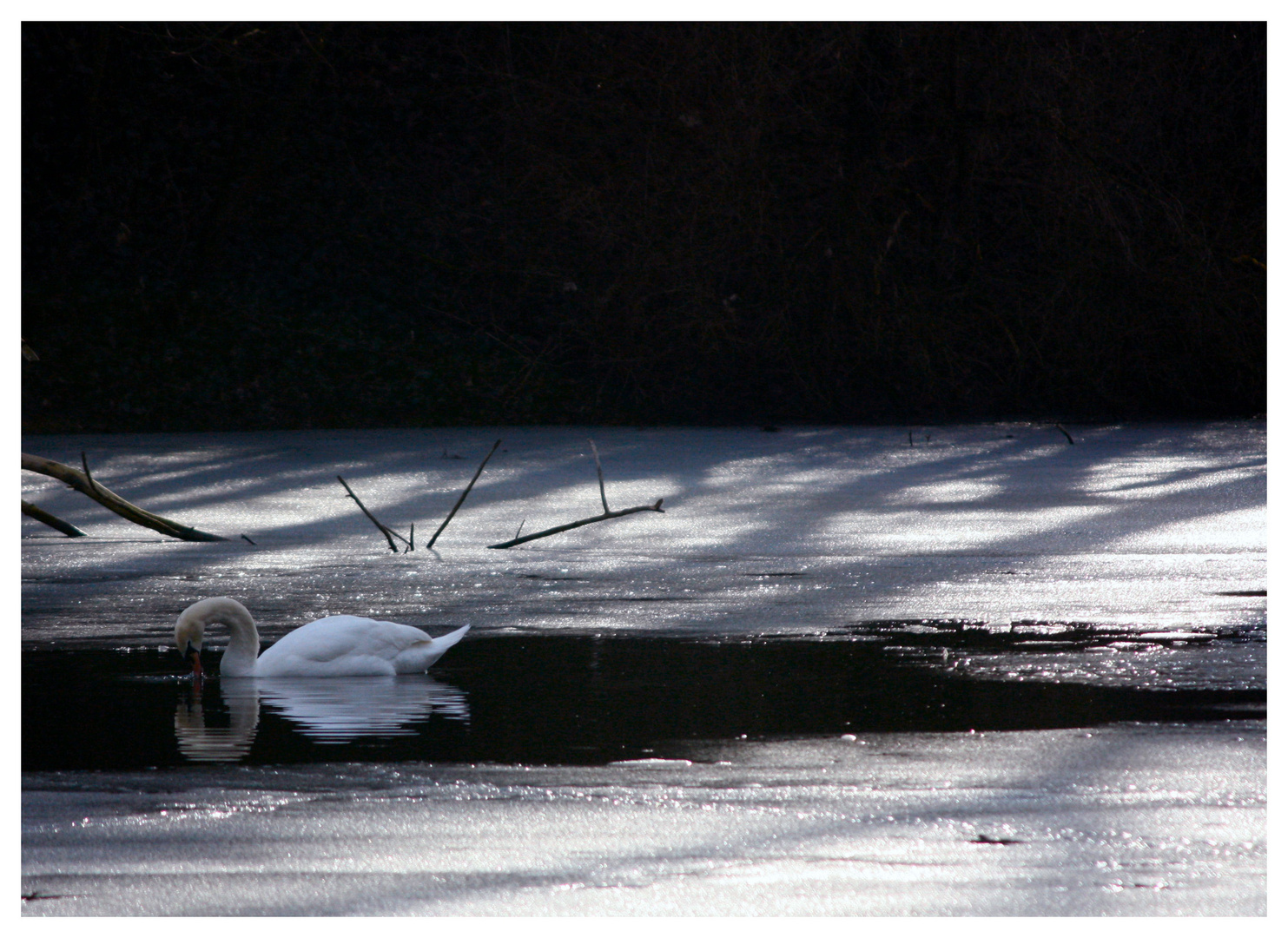 Der Winter bricht herein...