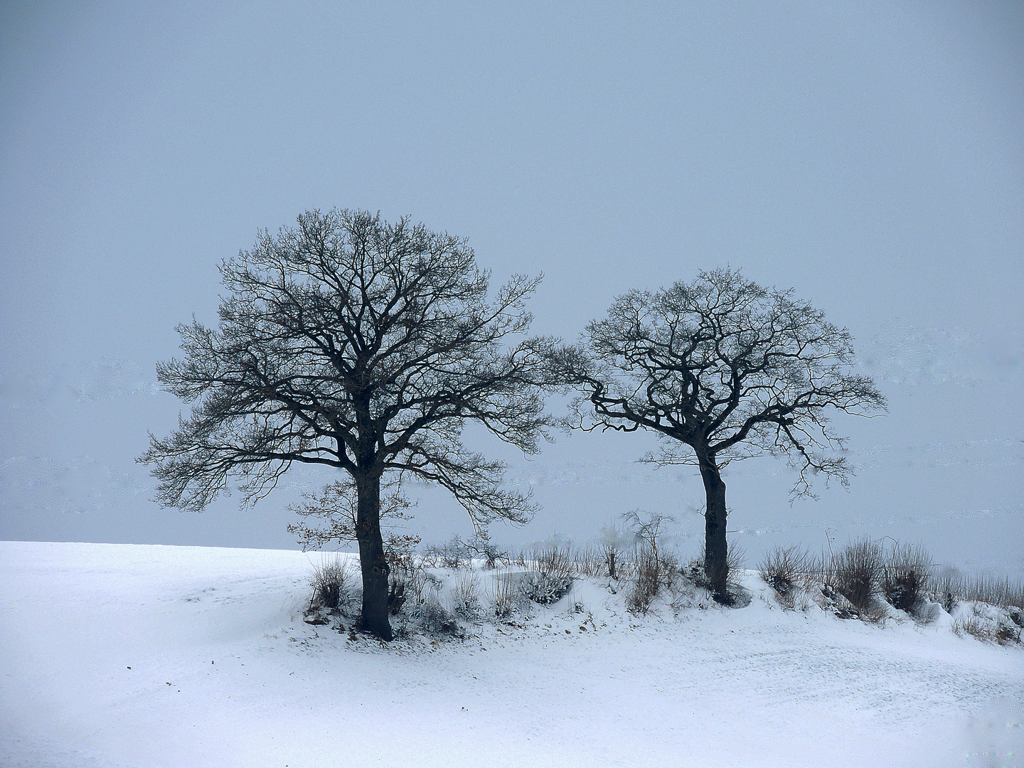 Der Winter, der keiner war