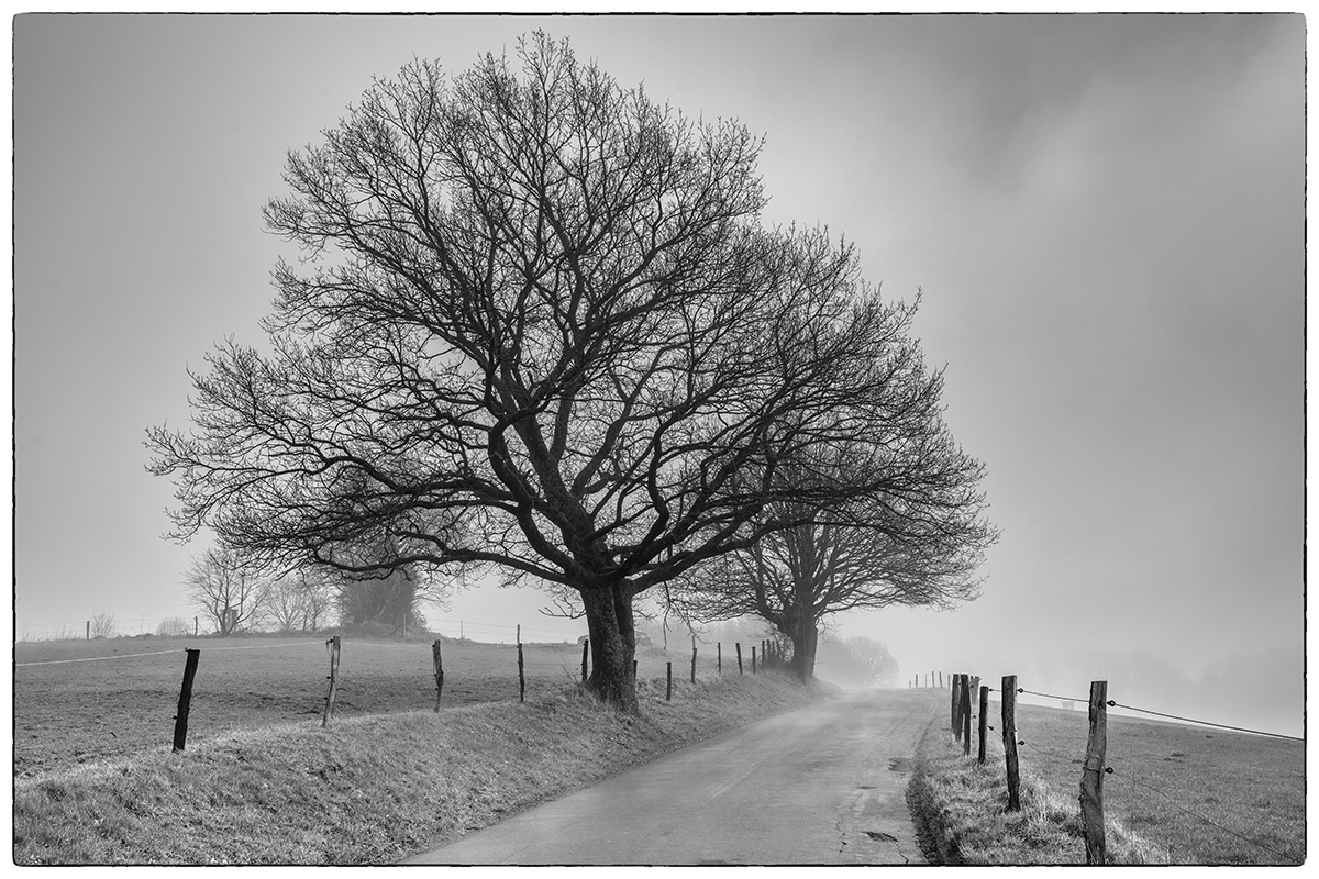 Der Winter, der keiner war