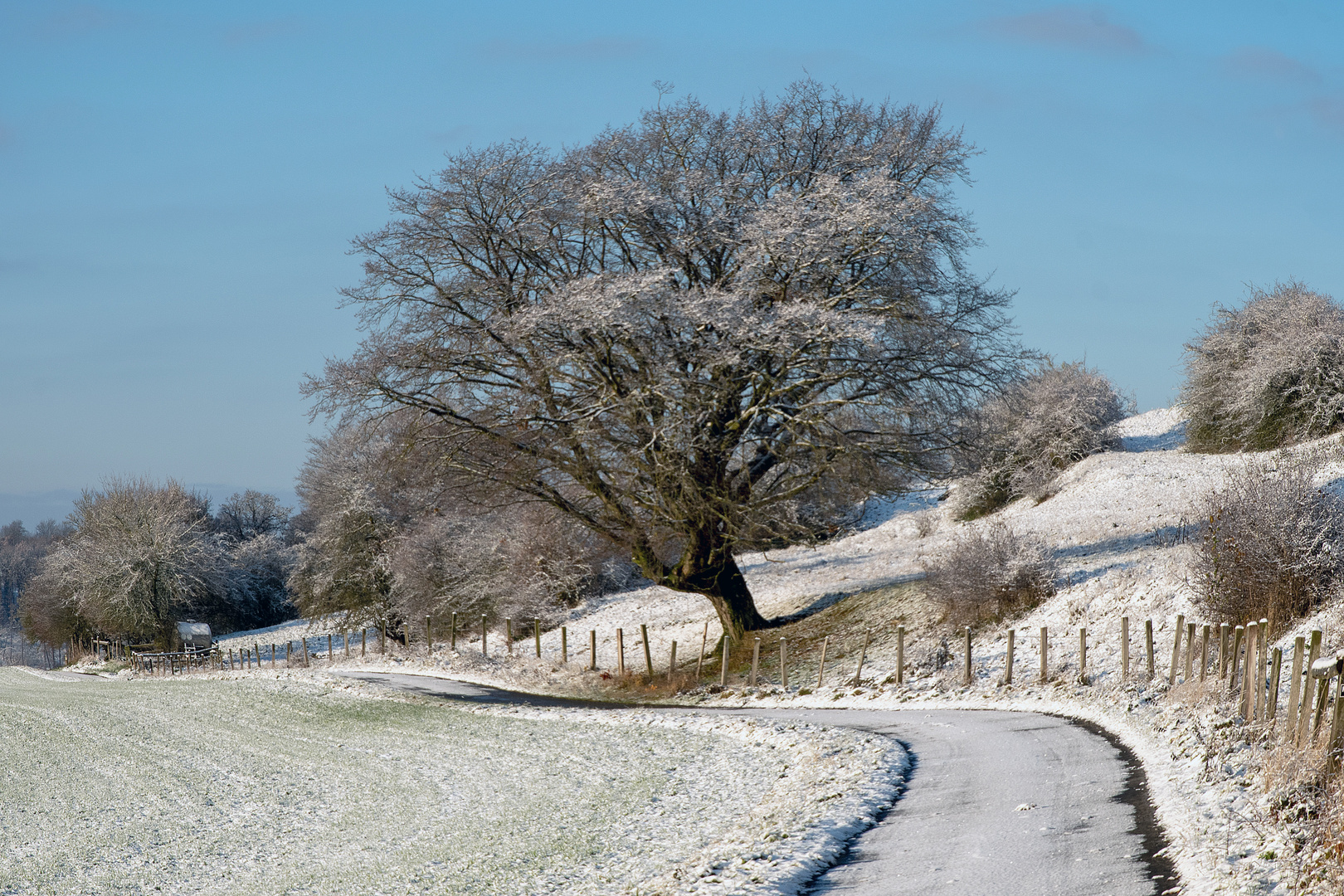 Der Winter... 