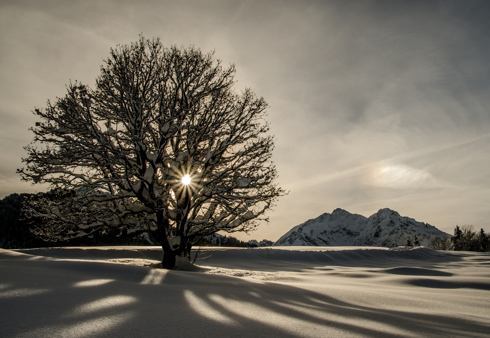 Der Winter fängt schon gut an ...