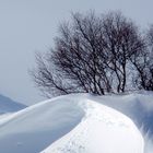 Der Winter formt die Landschaft 