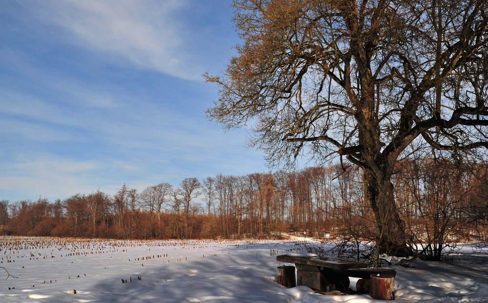 DER WINTER GEHT