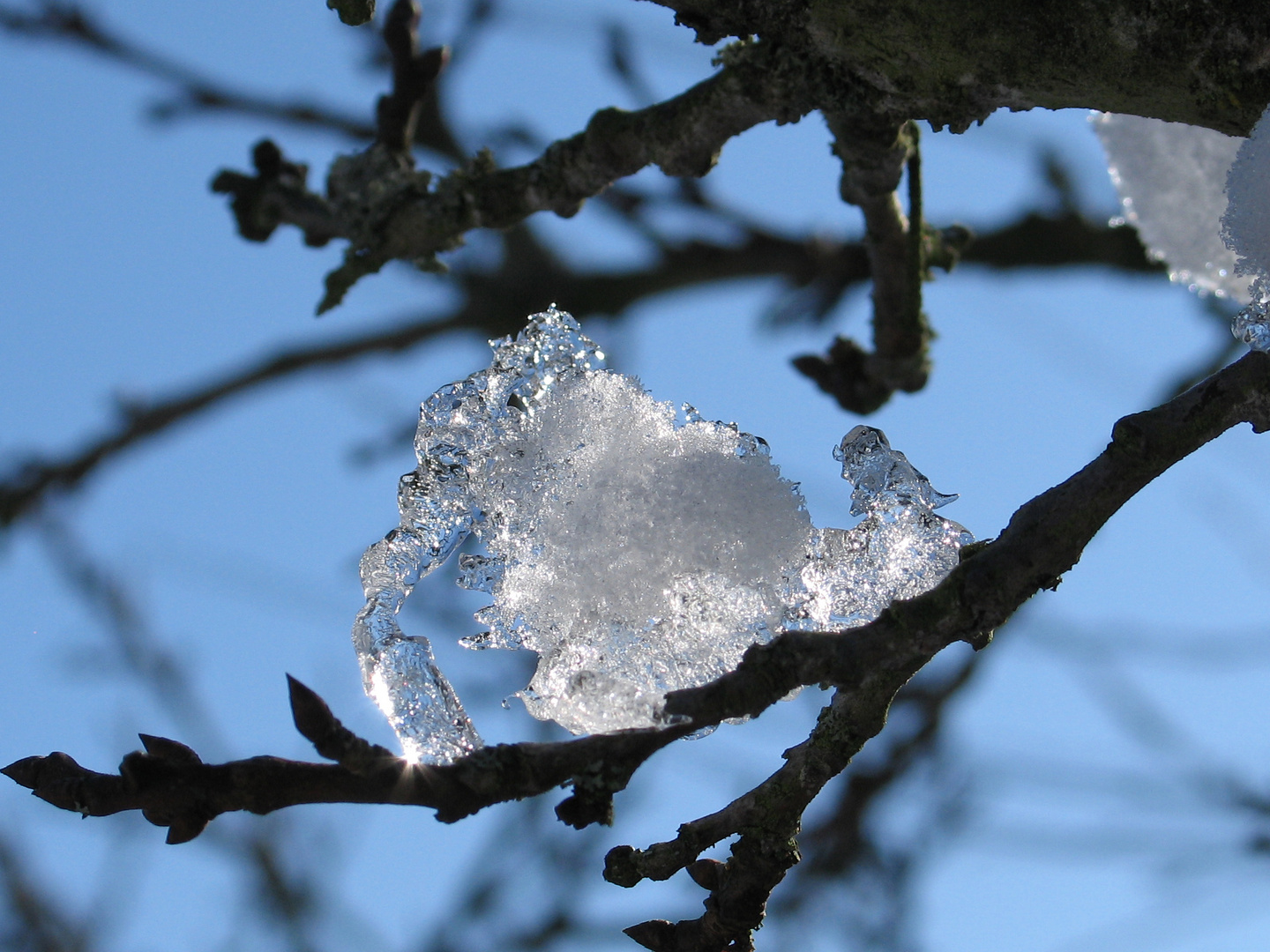 Der Winter geht