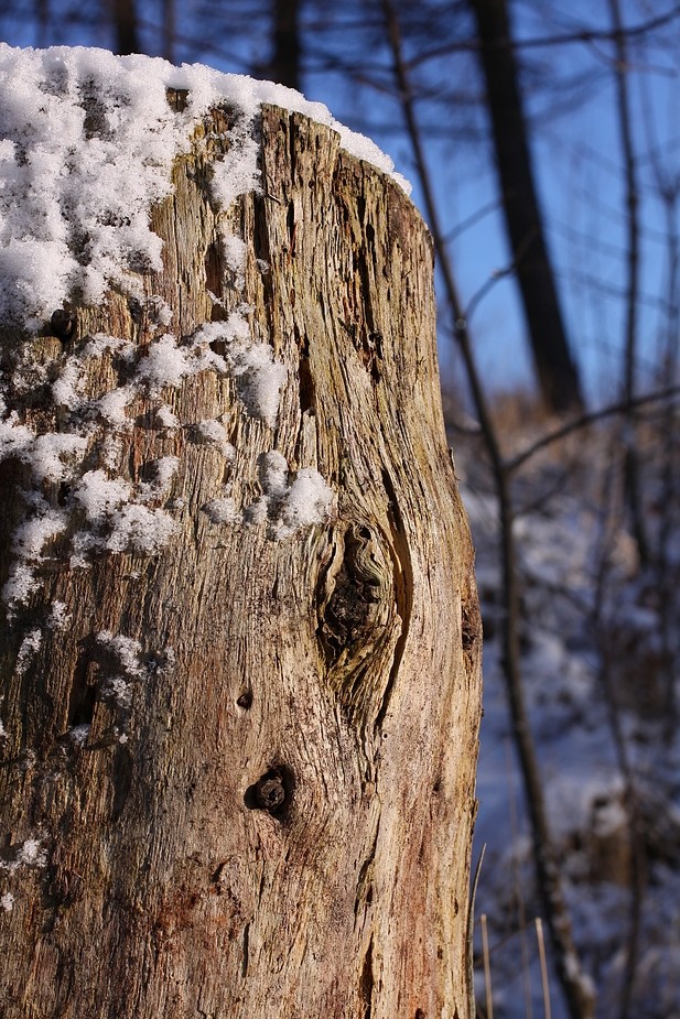 Der Winter geht