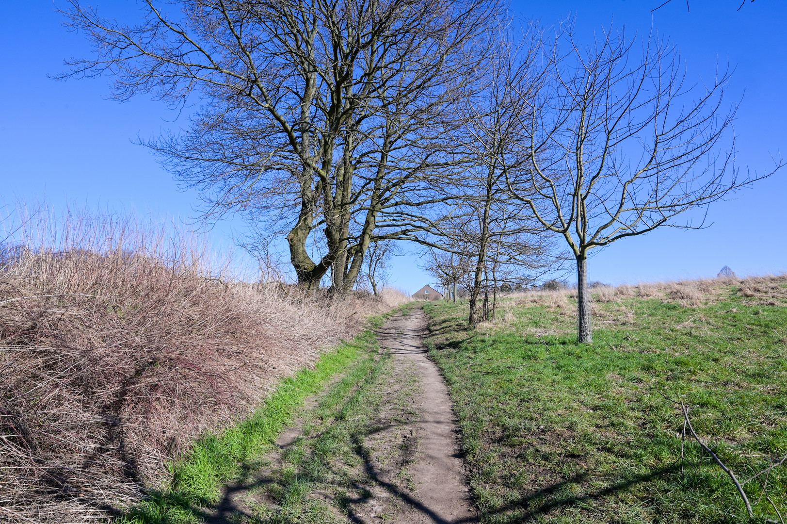 der Winter geht, das Frühjahr kommt