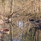 Der Winter geht - der Frühling kommt