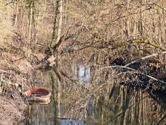 Der Winter geht - der Frühling kommt