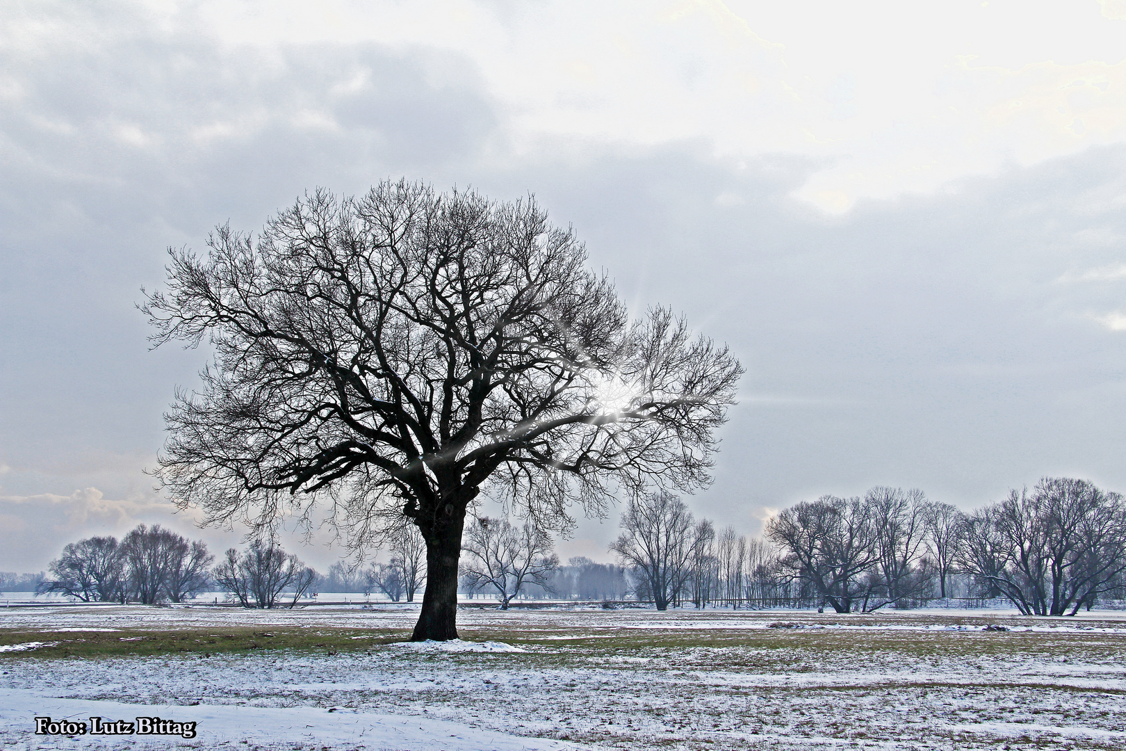 Der Winter geht ! ENDLICH !!!