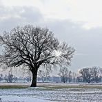 Der Winter geht ! ENDLICH !!!