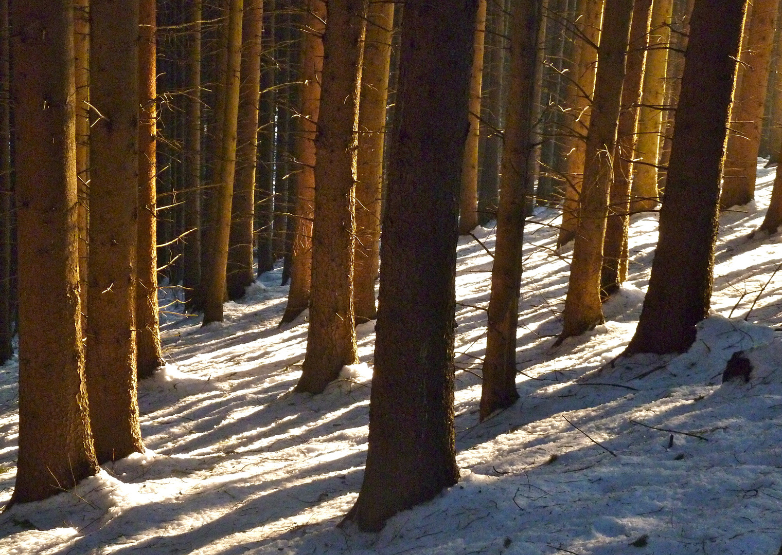 Der Winter geht zu Ende