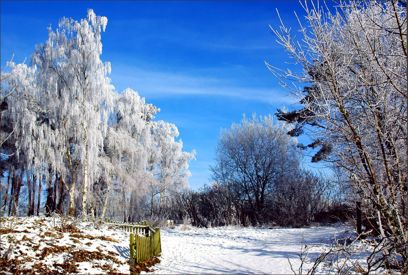 der Winter gibt nicht auf . . .