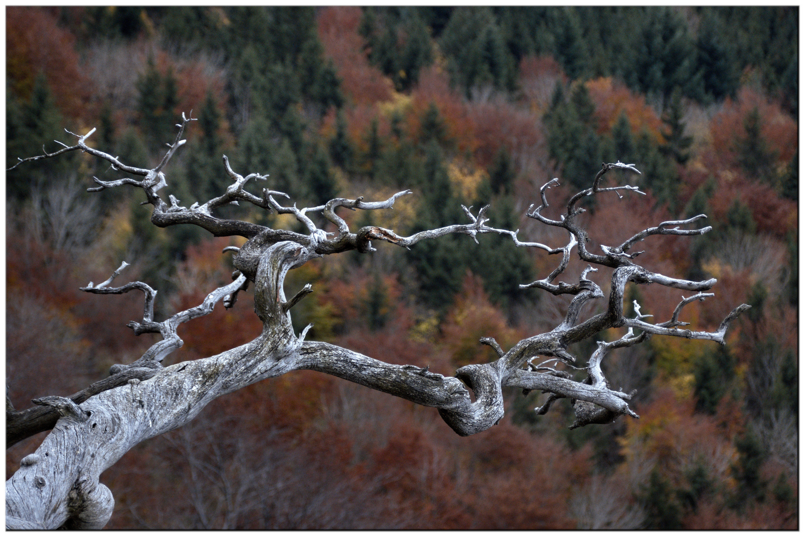 der Winter greift um sich