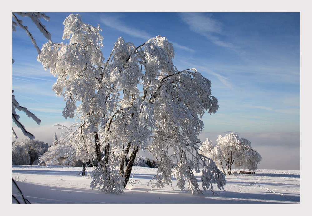 "...der Winter hält durch...!"