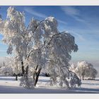 "...der Winter hält durch...!"