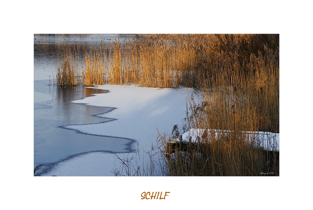 Der Winter hält Einkehr.....