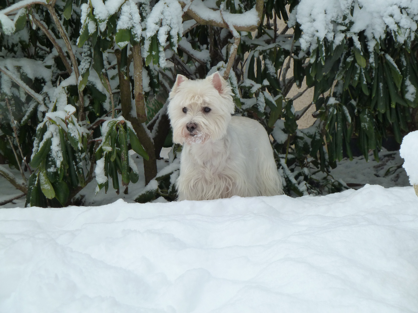 Der Winter hält Einzug