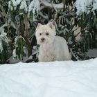 Der Winter hält Einzug