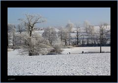 Der Winter hält Einzug