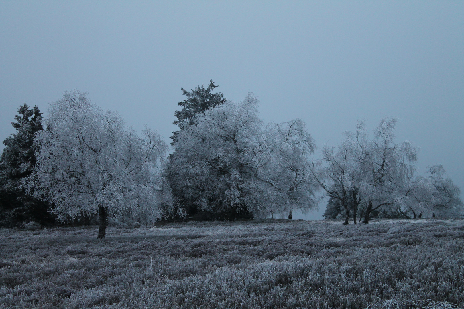 Der Winter hält einzug ins Sauerland