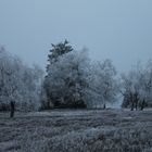 Der Winter hält einzug ins Sauerland