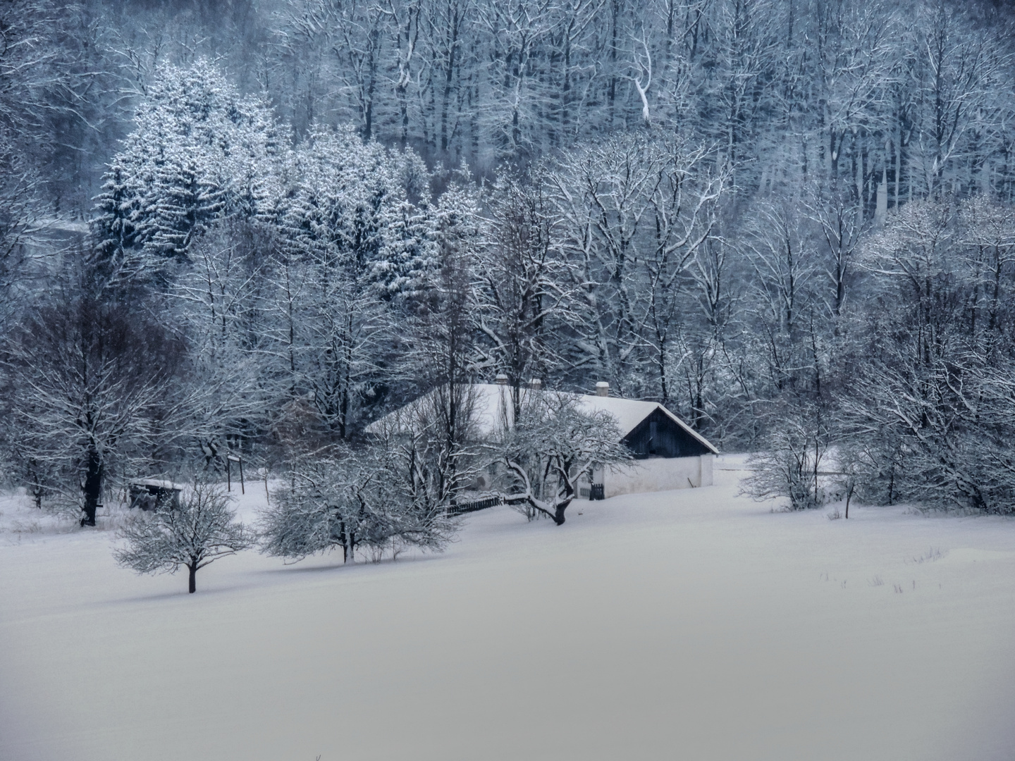 Der Winter hält uns fest im Griff