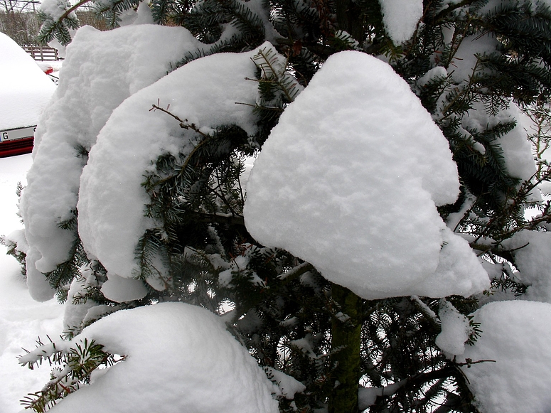 Der Winter hält uns fest im Griff