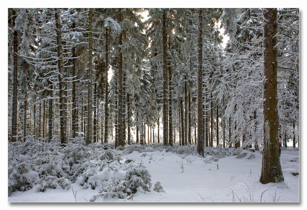 Der Winter hat alles fest im Griff....