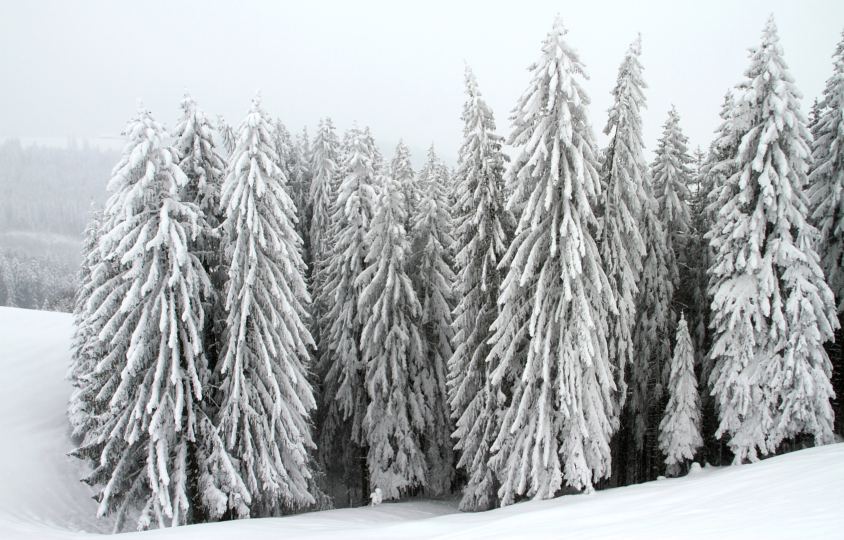 Der Winter hat auch hier Einzug gehalten.