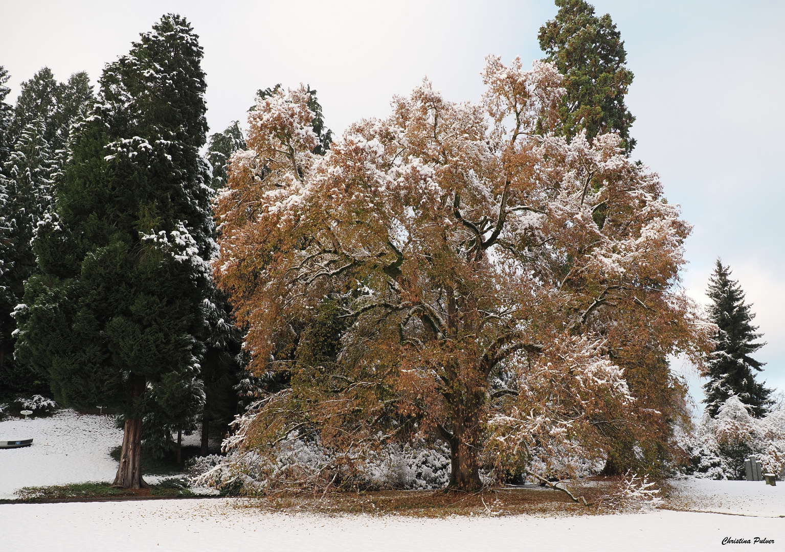 Der Winter hat auch schöne Seiten