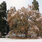 Der Winter hat auch schöne Seiten