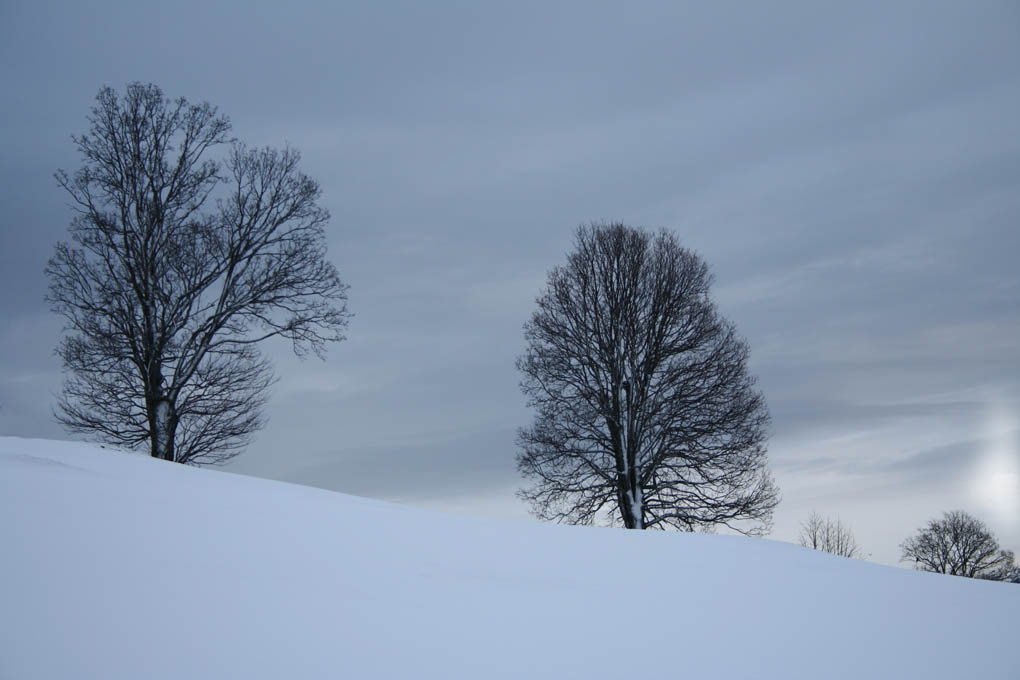 Der Winter hat auch schöne Seiten