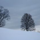 Der Winter hat auch schöne Seiten