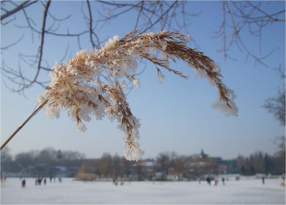 Der Winter hat auch schöne Tagen.