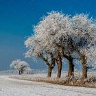 Der Winter hat auch seine schönen Seiten