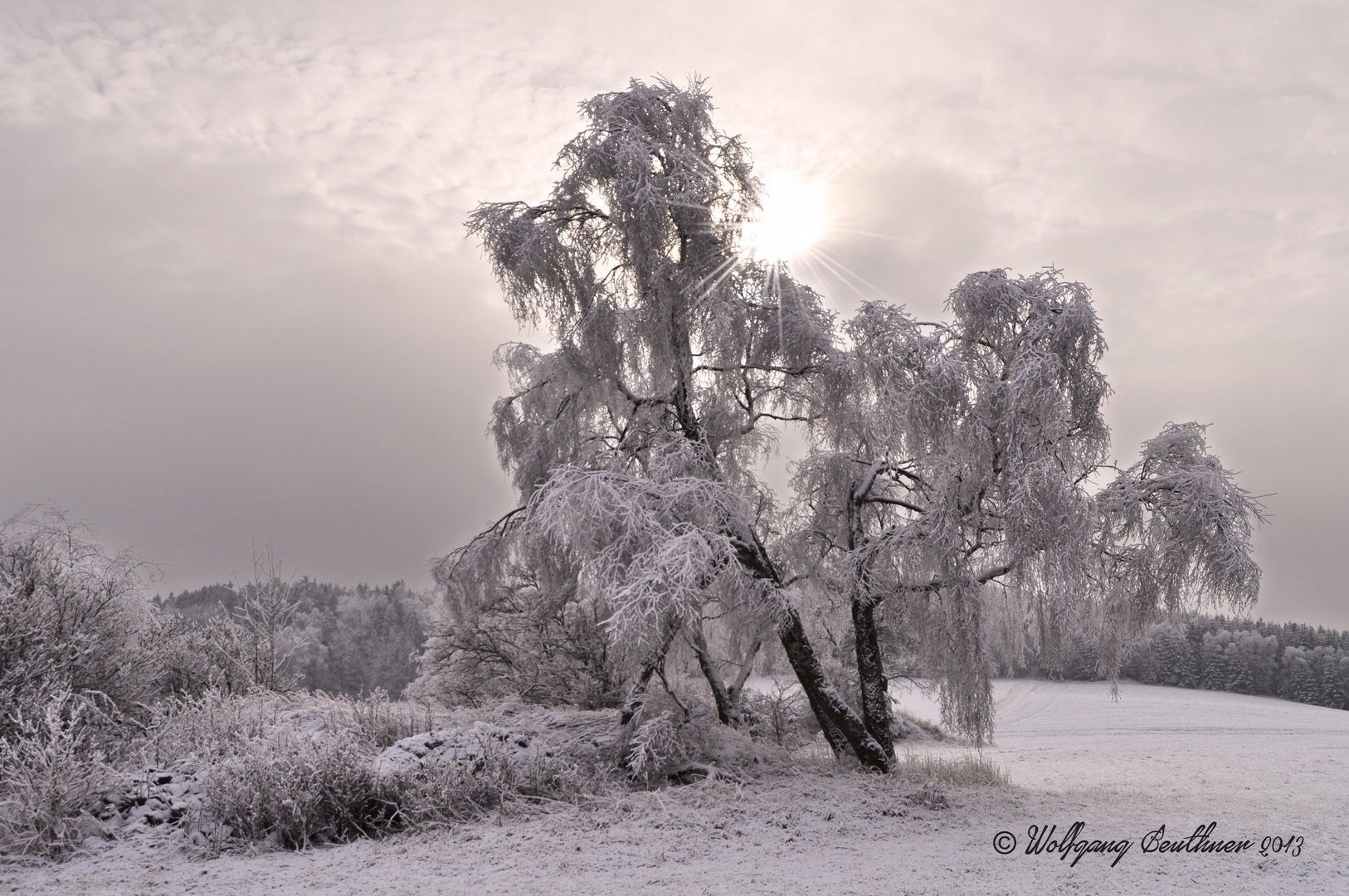 Der Winter hat begonnen - 22. Januar 2014 bei Wildbach im Erzgebirge