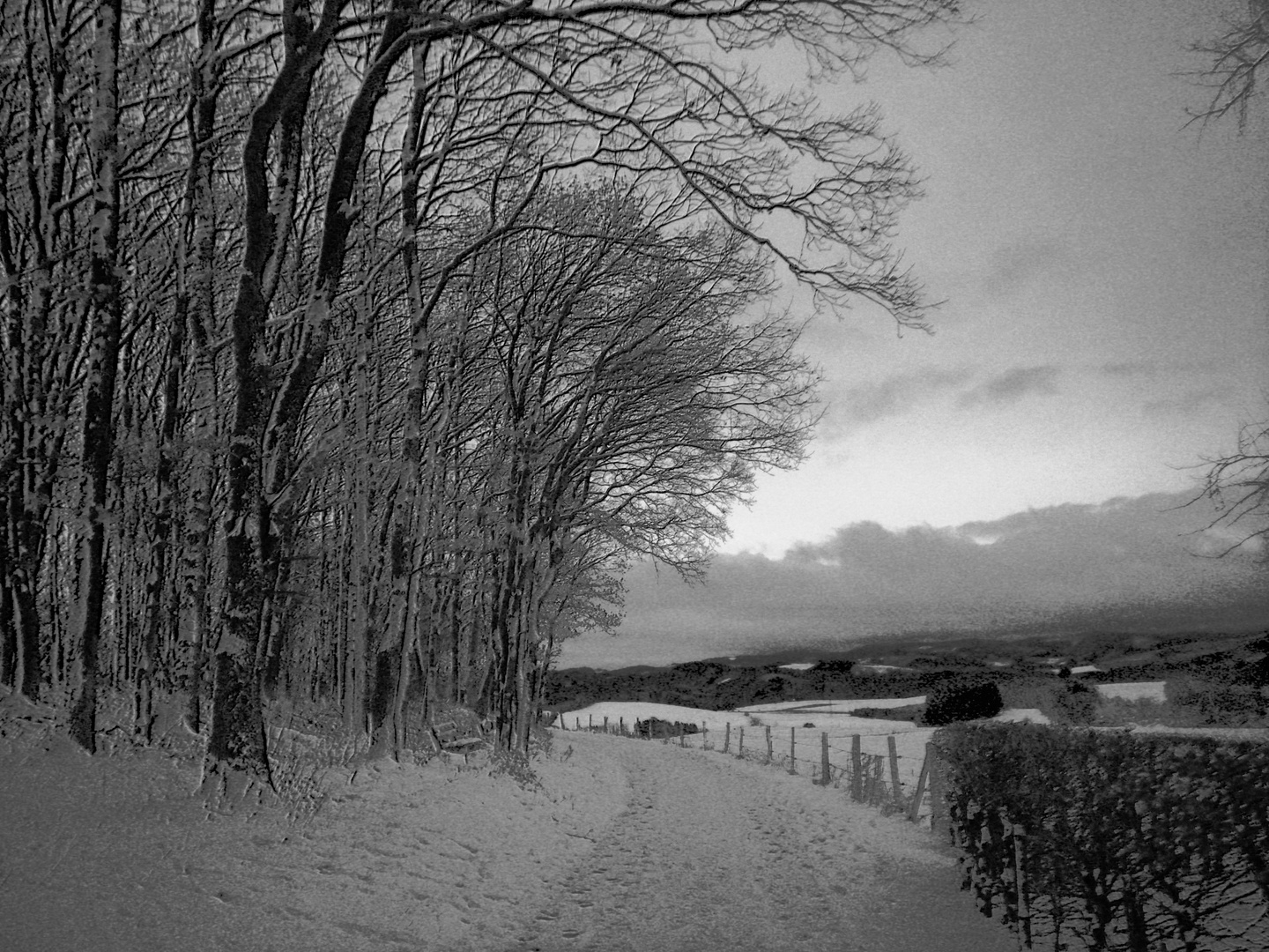 Der Winter hat das Sauerland erobert..