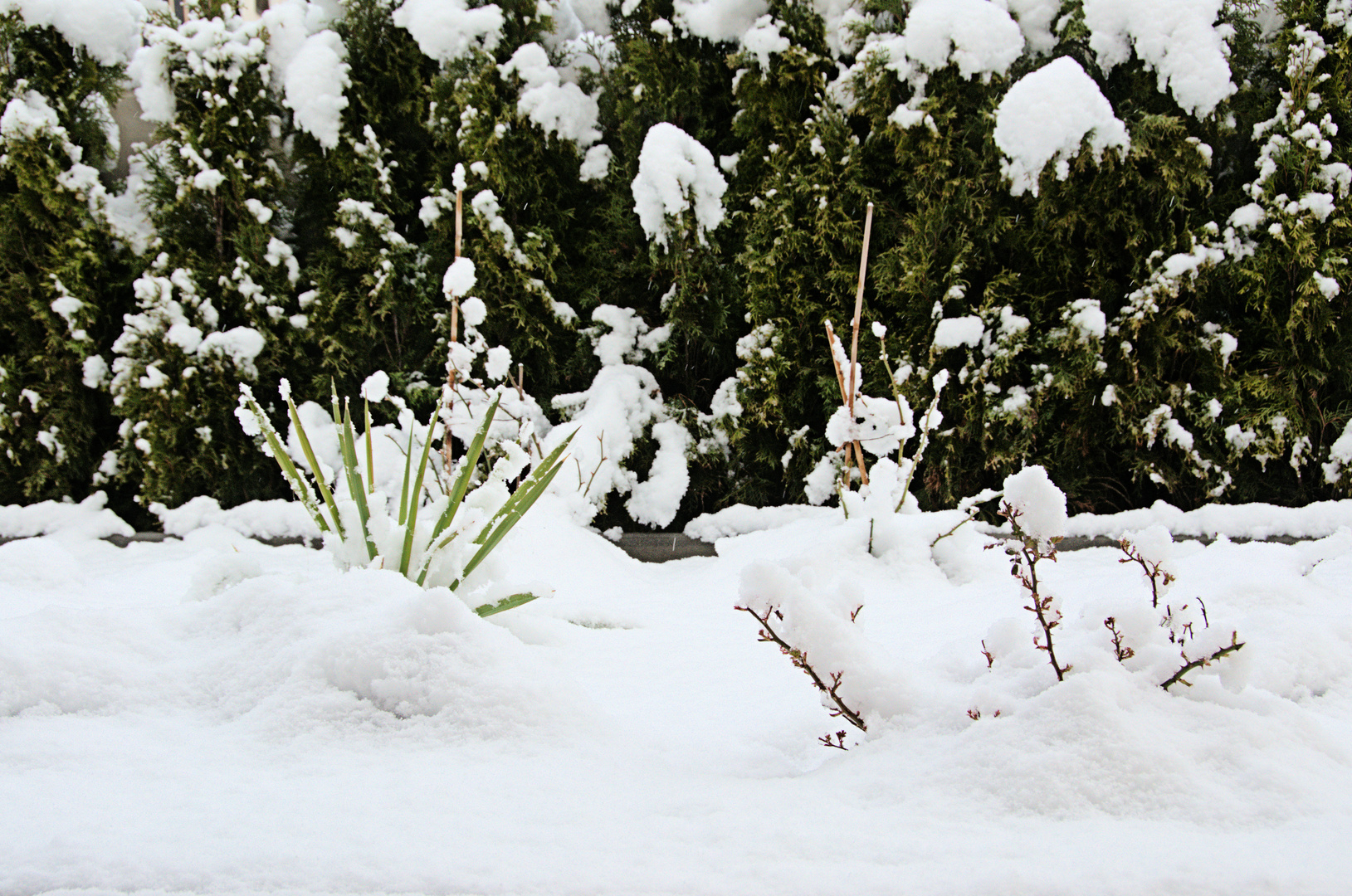 ..der Winter hat den Frühling wieder eingeholt...