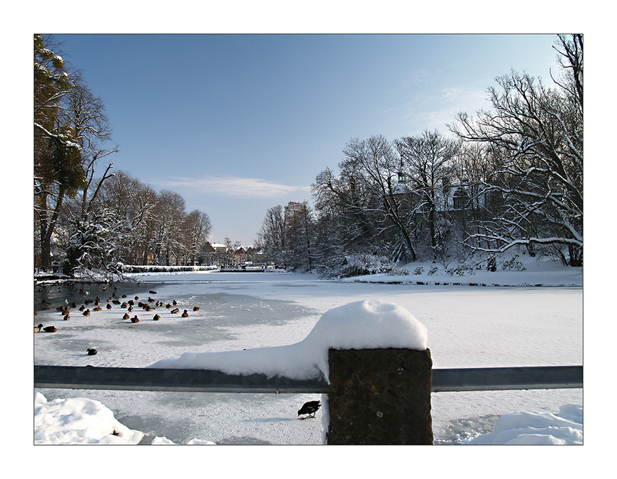 Der Winter hat die Natur fest im Griff