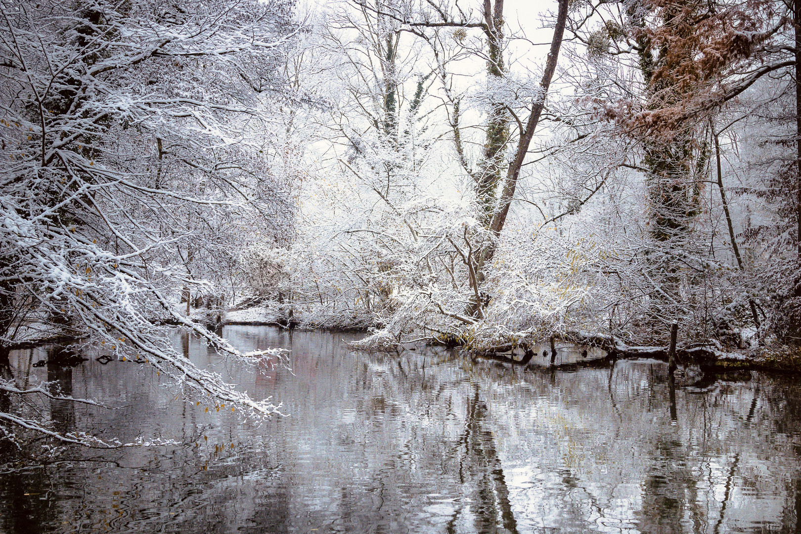 Der Winter hat Einzug gehalten 