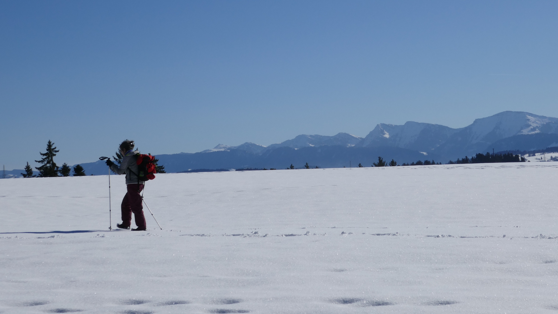 Der Winter hat seine eigenen Freuden, selbst im Februar ...