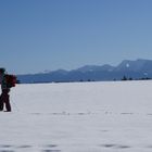 Der Winter hat seine eigenen Freuden, selbst im Februar ...