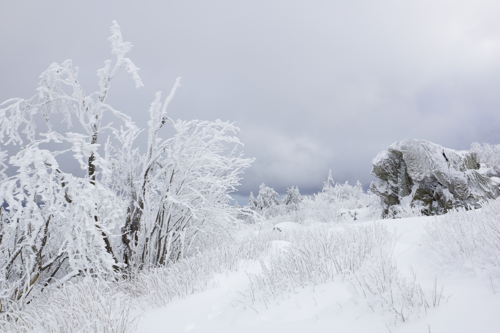 Der Winter hat sich noch nicht verabschiedet. Bild Nr.2