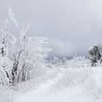 Der Winter hat sich noch nicht verabschiedet. Bild Nr.2