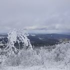 Der Winter hat sich noch nicht verabschiedet.