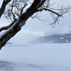 Der Winter hat sich zurückgemeldet.