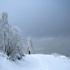 der Winter hat Spuren hinterlassen