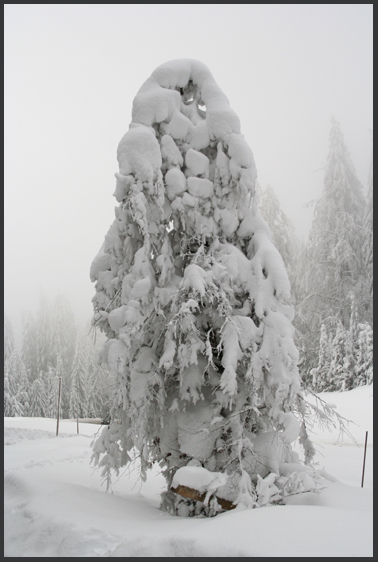 der Winter hat uns fest im Griff