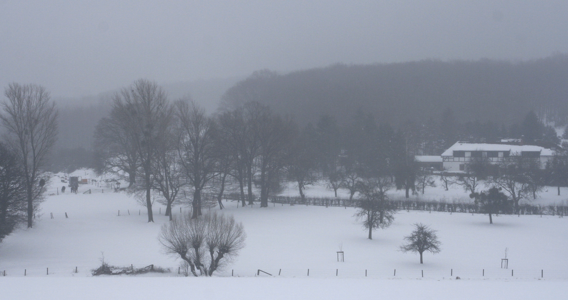 der winter hat uns fest im griff