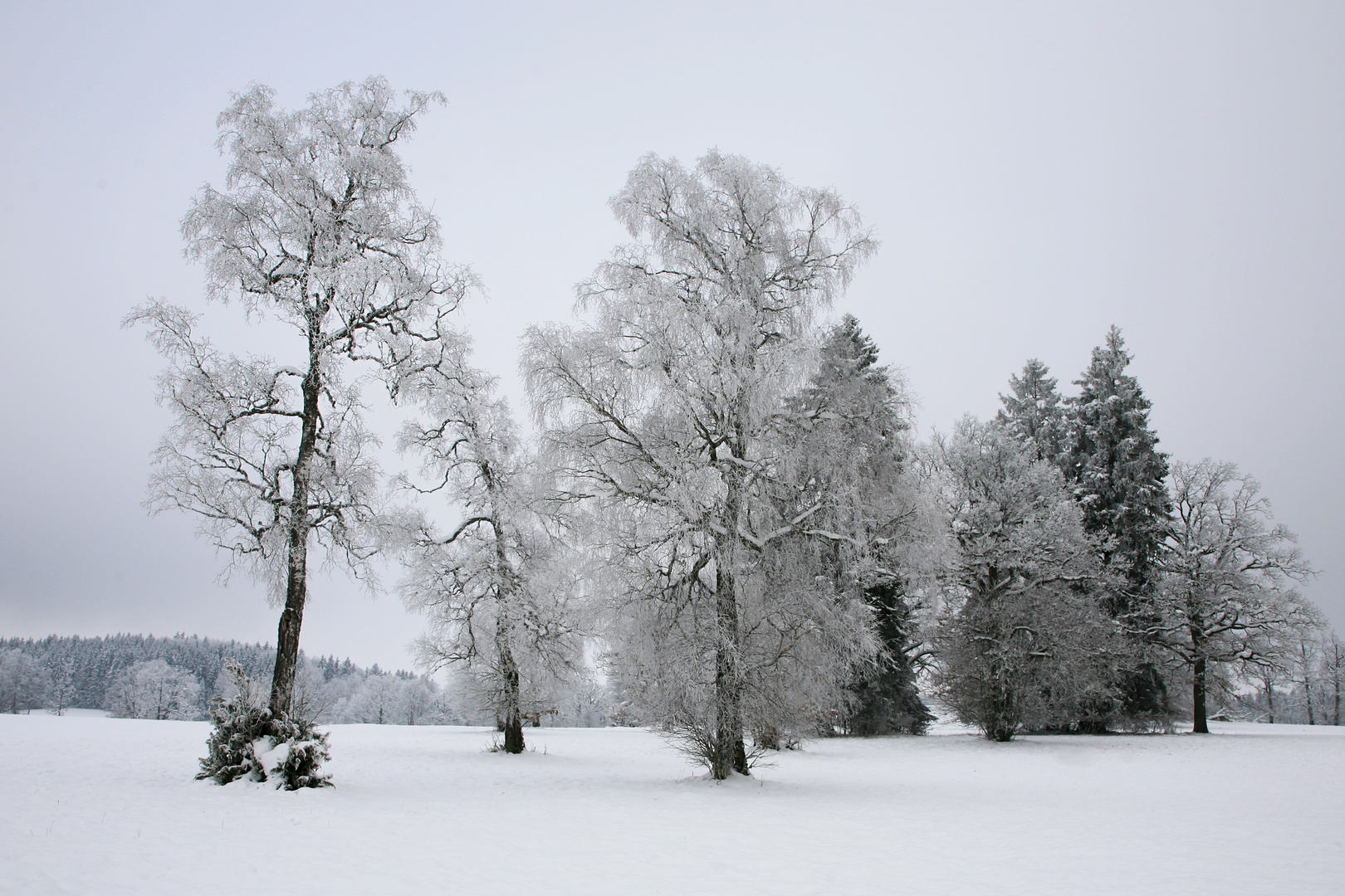 Der Winter hat uns im Griff